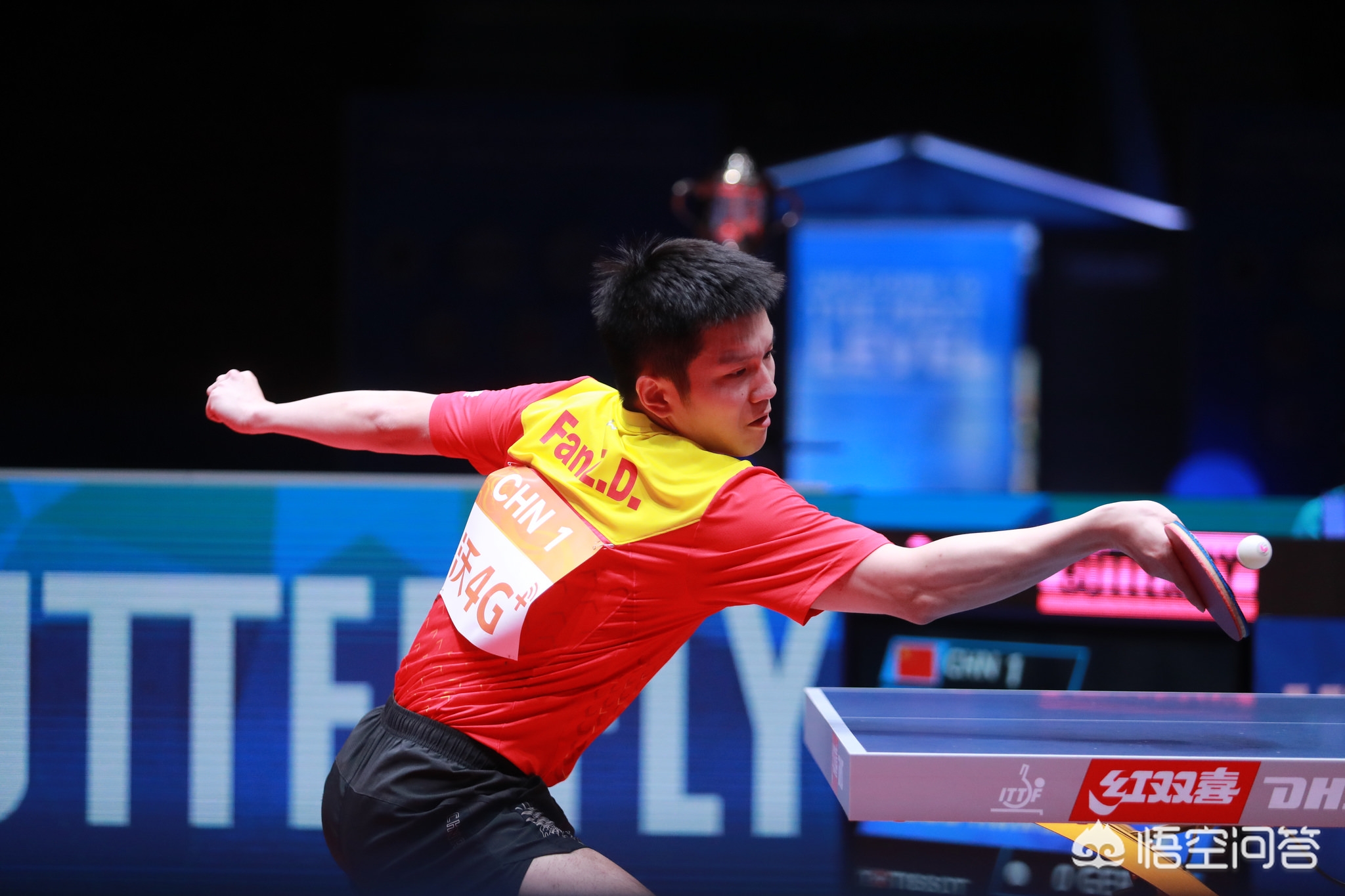 这场失利不 这场失利不