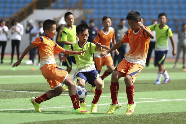 数据为核 数据为核